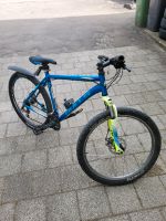 Fahrrad zu verkaufen Bayern - Regensburg Vorschau