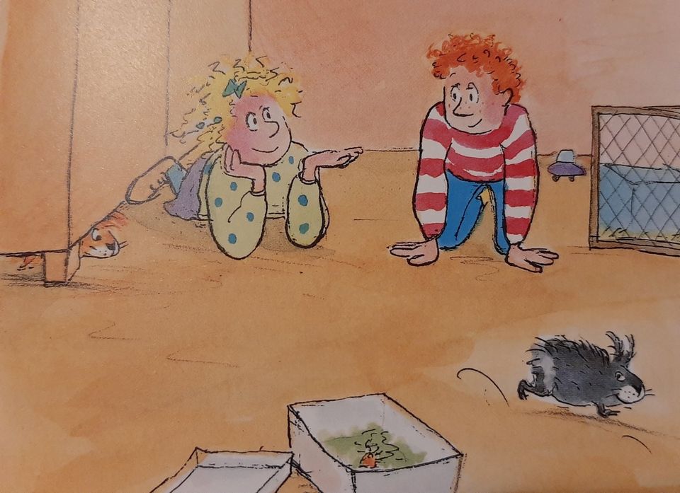 King Kong das Liebesschwein Kinderbuch 8 -10 J. Meerschweinchen in Jüchen