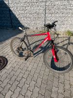Trecking Bike Fahrrad 10 Gänge Bayern - Poing Vorschau