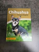 Chihuahua Ratgeber Hund Saarland - Wadgassen Vorschau