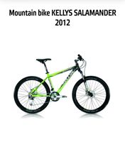 Mountain bike Kellys Salamander 2012 Thüringen - Ruhla Vorschau