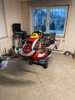 DR X30 Senior Rennkart Kart Motorsport Racing Alfano 6 Sachsen - Radebeul Vorschau