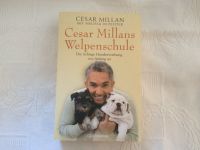 Cesar Millans Welpenschule Buch Taschenbuch Cesar Millan Hund Hessen - Wetzlar Vorschau