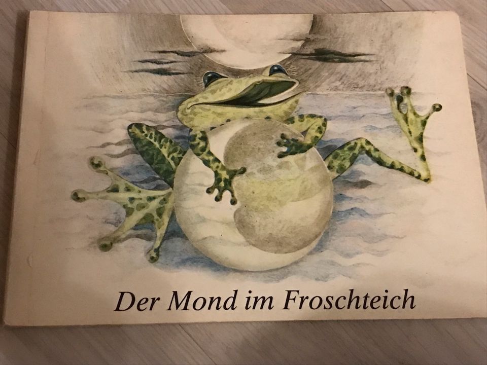 Der Mond im Froschteich in Eilenburg