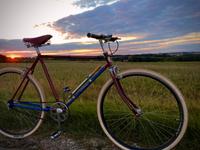 Singlespeed DDR, Halbrenner Vorkrieg, vintage Fahrrad Sachsen - Hartmannsdorf Vorschau