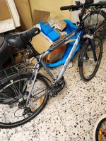 Fahrrad Bergamont Rahmengröße 48 Thüringen - Jena Vorschau