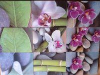 9 Holzbilder Bilder Orchidee Steine Bambus ca. 30x40cm kplt. 3€ Nordrhein-Westfalen - Lichtenau Vorschau