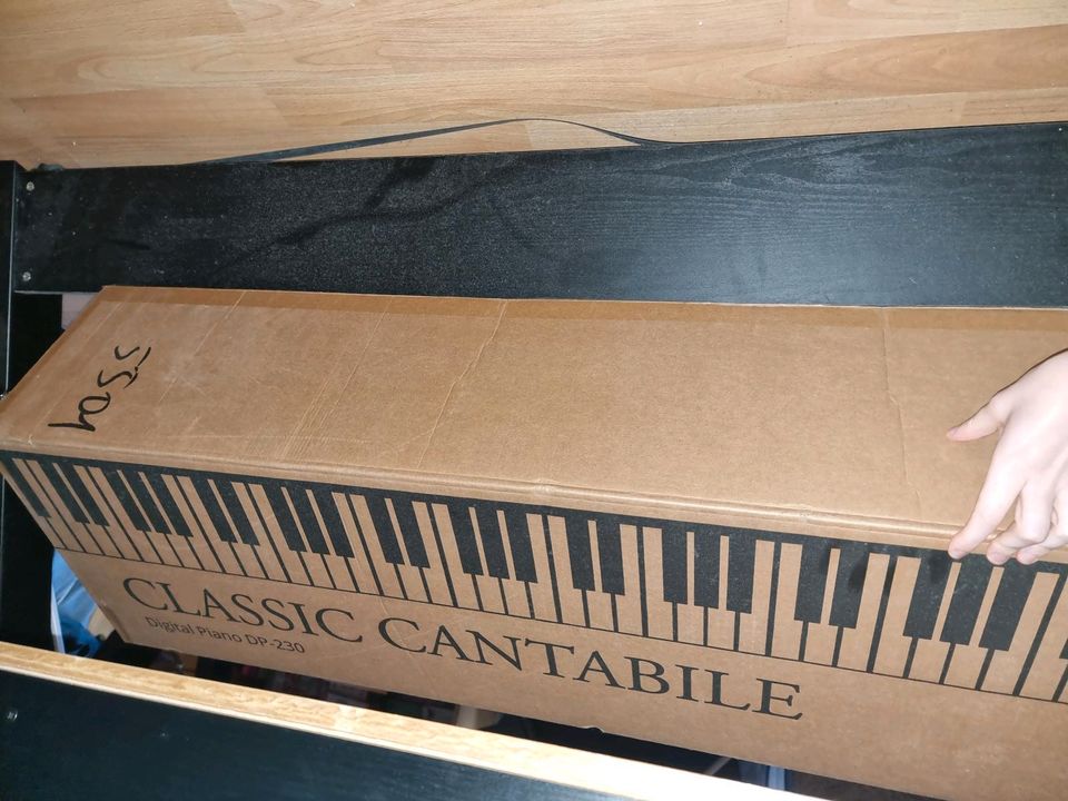 E-Piano (Classic cantabile dp-230) in Mainz