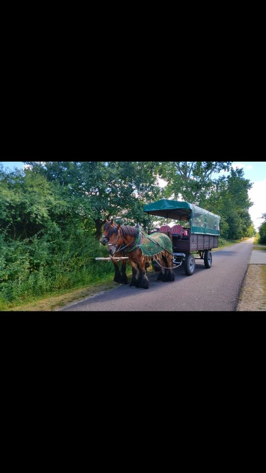 Hochzeitskutsche,  Planwagenfahrt, Kutschfahrt in Flechtingen