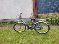 Fahrrad 24 Zoll Niedersachsen - Obernkirchen Vorschau