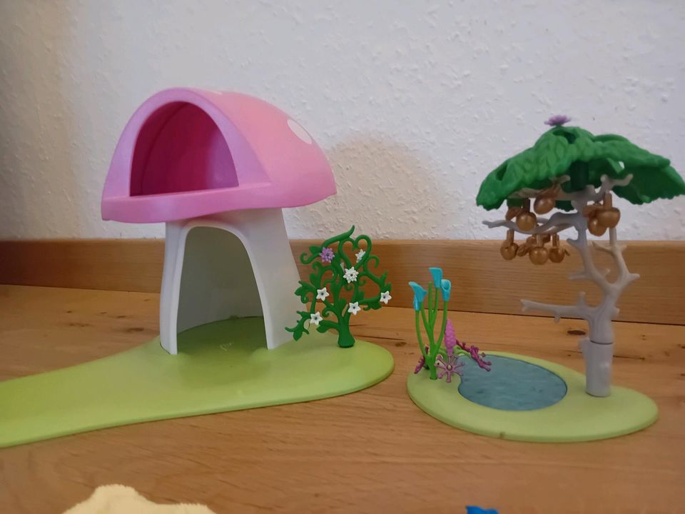 Playmobil Fairies in Hadamar
