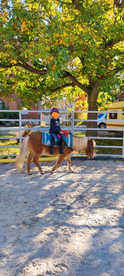 Reitpädagogik/ Reitunterricht/ Ponyreiten/ Reittherapie in Söllingen