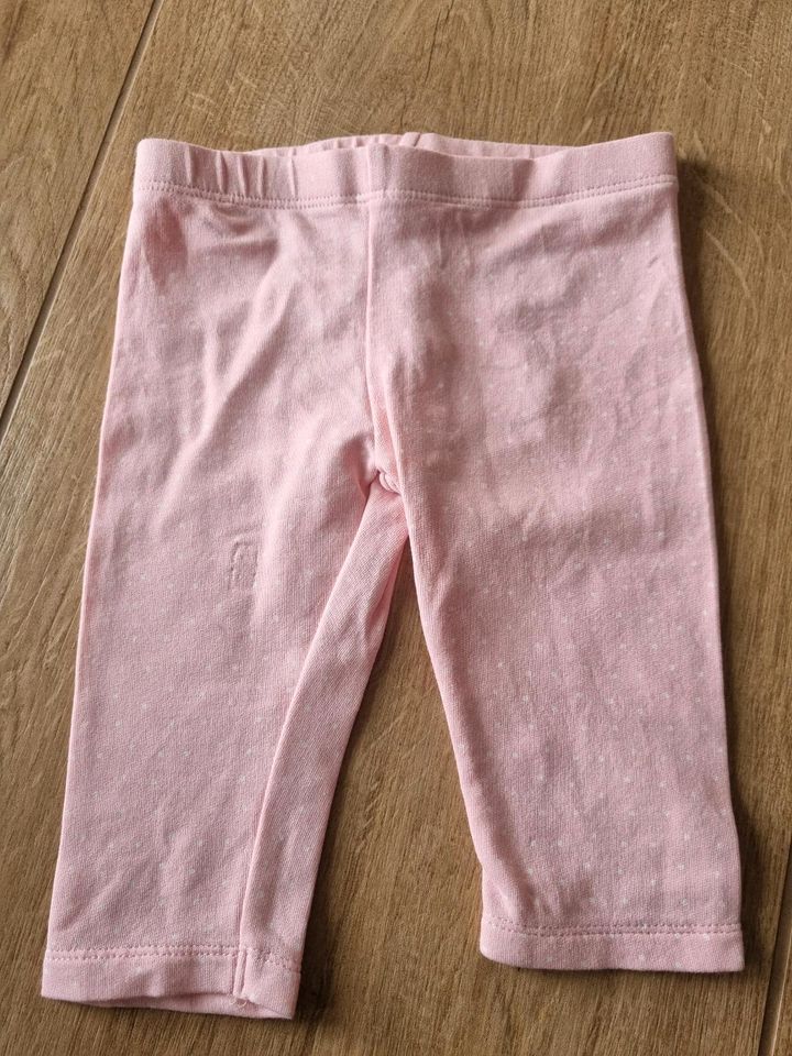 Set 2x Topomini Hosen Leggings Jogger Jeans Schlupfhose Gr.62 in Kissing