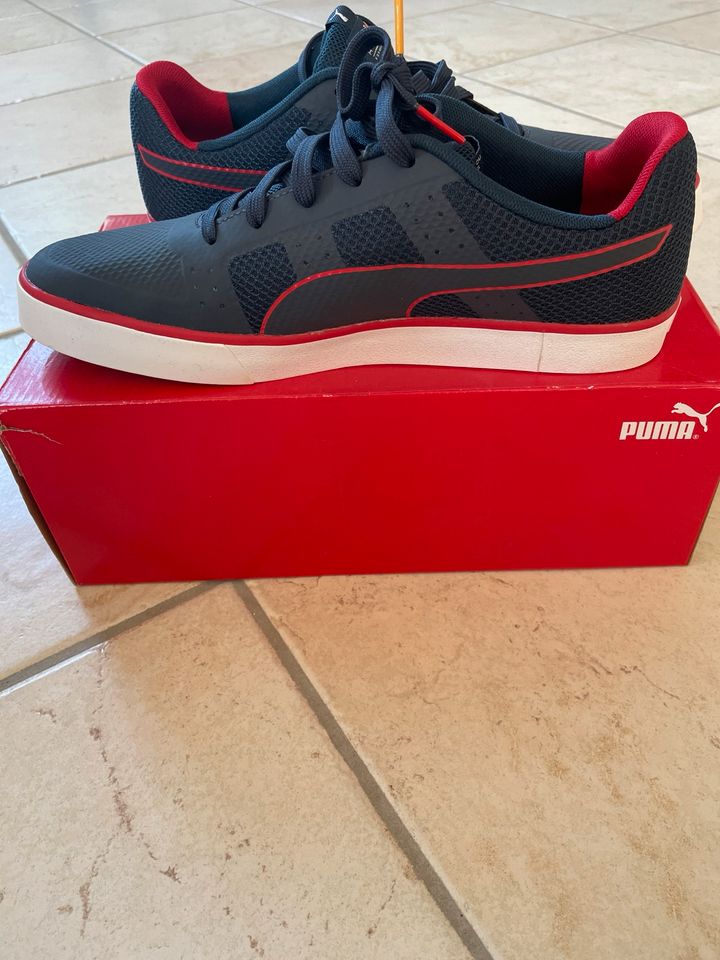 Puma RedBull Racing Schuhe Größe 44 Neu ! in Dallgow