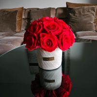 Jahrelang Haltbare echte Rosen mit Betonvase Düsseldorf - Bilk Vorschau