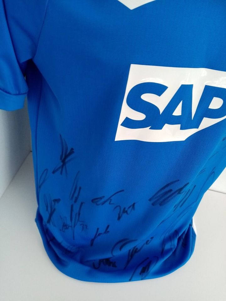 1899 Hoffenheim Trikot 18/19 Teamsigniert Autogramm COA Lotto M in Lünen