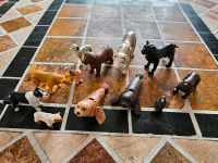 Playmobil Tiere: 5 Hunde, Robben, weißer Tiger, Panther, Schaf... Bayern - Friedberg Vorschau