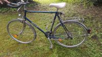 Enik 28 Zoll retro Rad vintage Kiel - Wellsee-Kronsburg-Rönne Vorschau