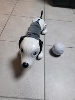 Roboter Hund/ Roboter Dackel Nordrhein-Westfalen - Gladbeck Vorschau