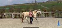 Faszientraining / Horse-Bodyforming / Bodenarbeit Hessen - Wolfhagen  Vorschau