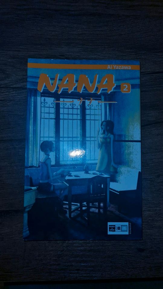 Nana Band 2 Ai Yazawa in Berlin