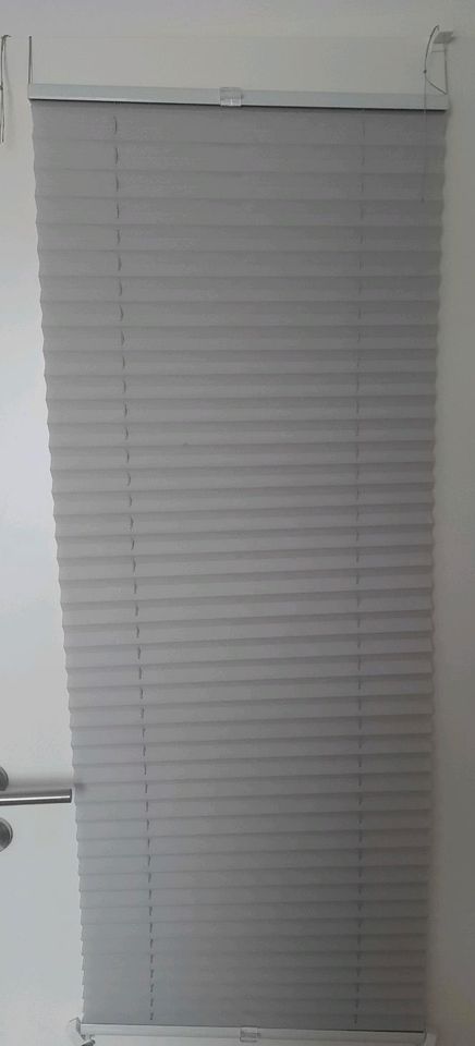 Plissee Klemmträger 50 x 130 cm in Groß Sarau