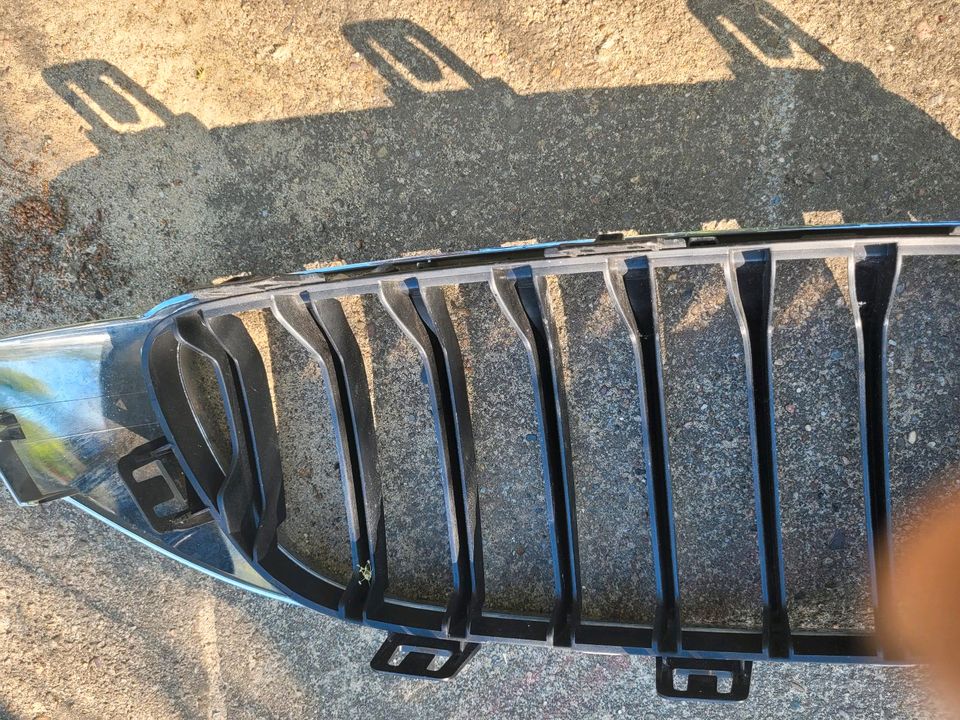 Bmw M 4er F32  grill Stoßstange Lüftungsgitter Nieren in Oerlinghausen