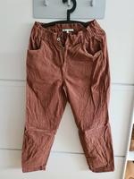 weinrote Carrothose München - Schwabing-Freimann Vorschau