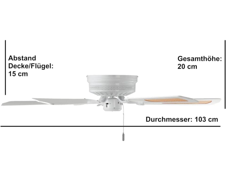 Deckenventilator in Thale