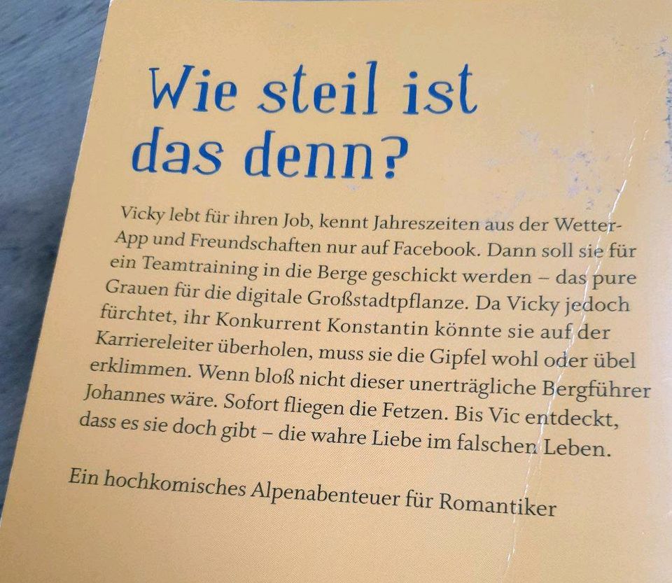 Buch, Ellen Berg, Roman, Manche mögen's Steil in Wangen im Allgäu