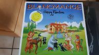 FIXPREIS Vinyl LP von BLANCMANGE – Happy Families (1982) Nordrhein-Westfalen - Oberhausen Vorschau