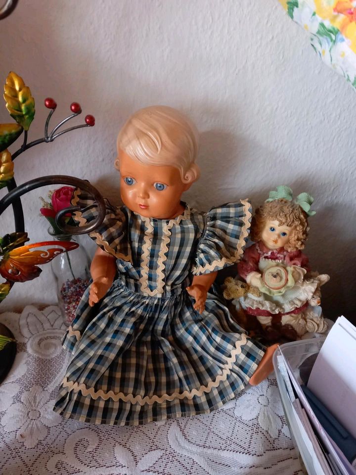 Schildkröt Puppen zuverkaufen in Neuenkirchen-Vörden