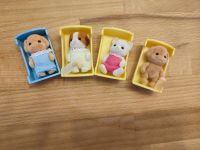 Sylvanian Familie je 3€  Spielzeug Kinder Bergedorf - Hamburg Billwerder Vorschau