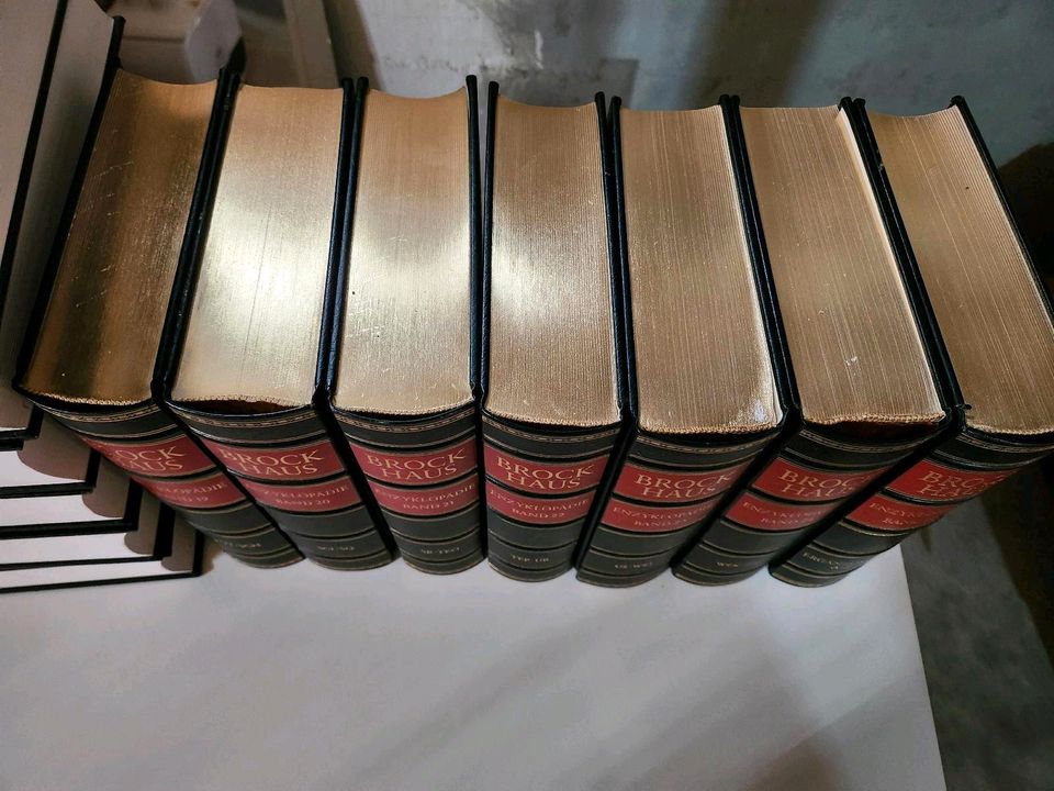 Brockhaus Enzyklopädie 19. Auflage Band 1 - 24 + 30 in Stephanskirchen