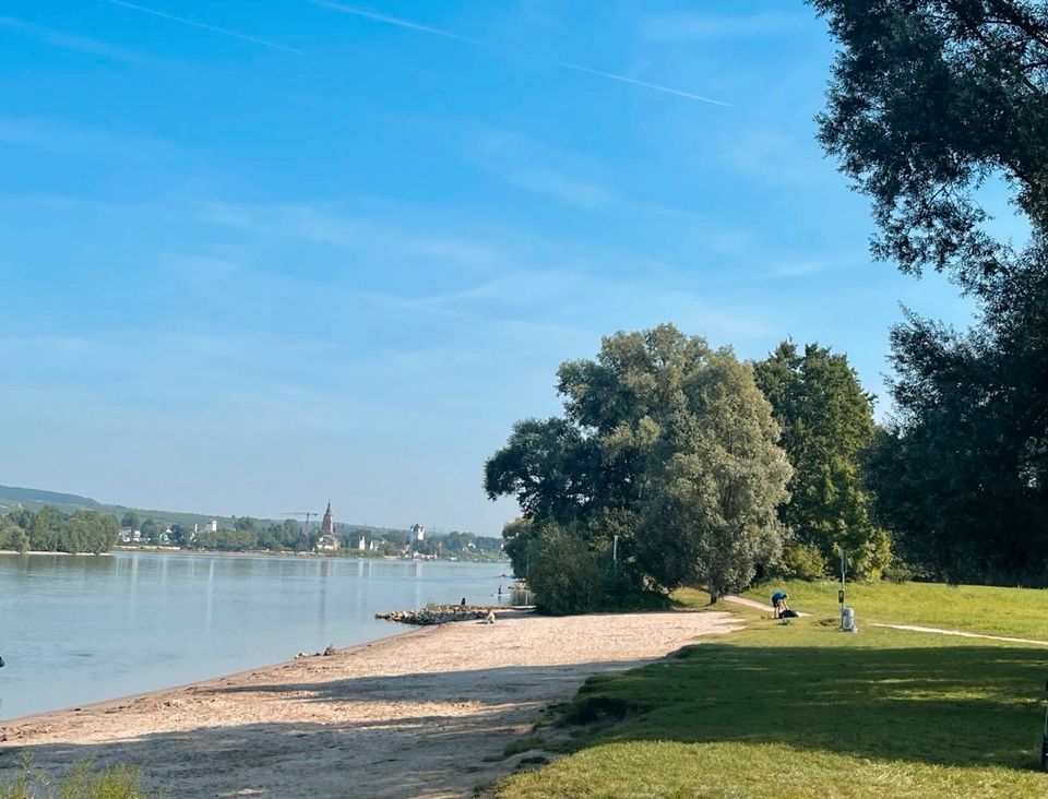 Hundesitting Hundebetreuung Hundepension Hundetagesstätte ♥️ in Heidesheim