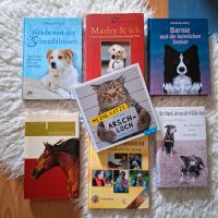 Bücher Pferd Hund Katze je 3€ Hessen - Erbach Vorschau