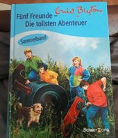 Fünf Freunde - Die tollsten Abenteuer - Buch - Sammelband 3 in 1 Hessen - Hainburg Vorschau