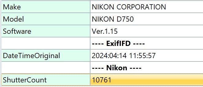 NIKON D750 mit original Objektiven und Tasche in München