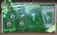 4-tlg. Aloe Vera Bad Set Duschgel Schaumbad Body Lotion NEU Bochum - Bochum-Nord Vorschau