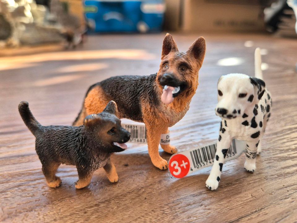 Schleich // 3x Hunde in Oberboihingen