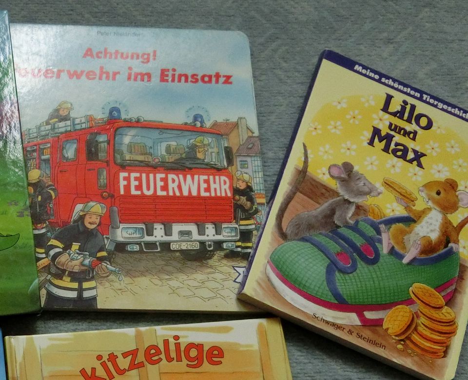 4x Buch Maus erzähl Feuerwehr im Einsatz! Tabaluga Lilo und Max in Dettingen an der Iller