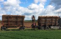 Holzfahrer Holztransport Berufskraftfahrer sucht Forstbetrieb Nordrhein-Westfalen - Hagen Vorschau