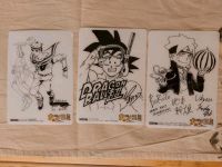 Shikishi Allerlei One Piece Jojo's Bizzare Dragonball Boruto Nordrhein-Westfalen - Neuss Vorschau