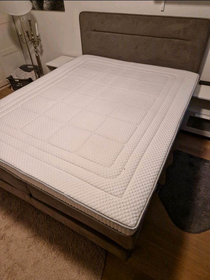 Swiss Sense Boxspringbett 160x200 in Hamburg