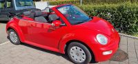 VW Beetle in Rot... technisch sehr gut... alles geht! Schleswig-Holstein - Neumünster Vorschau