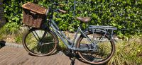 Gazelle Heavy Duty Damen RH54 Lastenrad Nordrhein-Westfalen - Datteln Vorschau