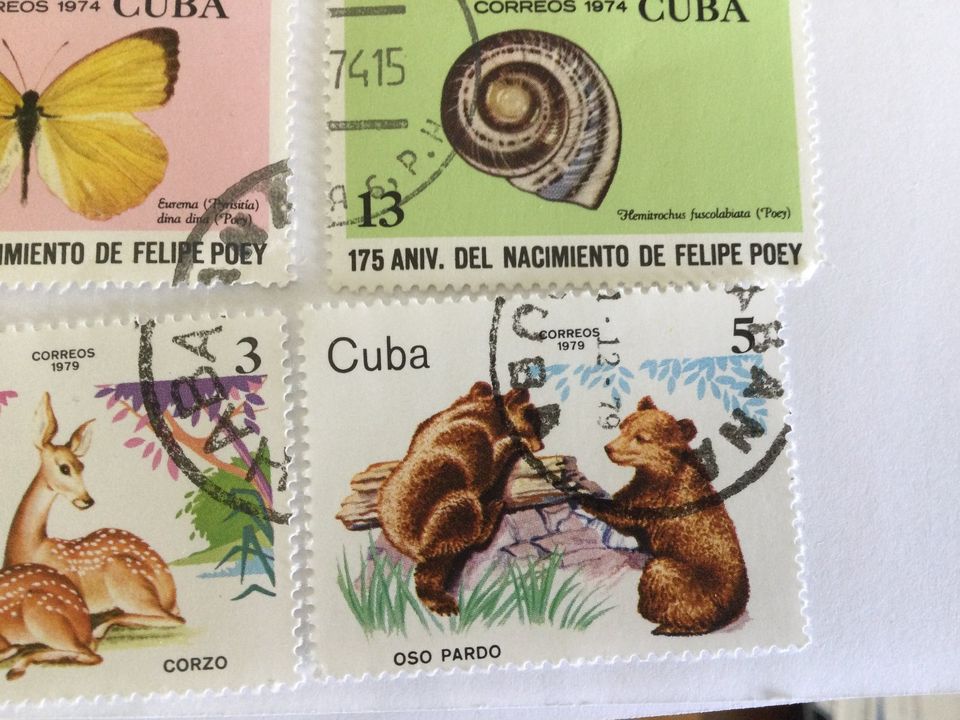 Briefmarkenset Exoten * Ghana * Kamerun * Ruanda * Syrien * Kuba in Tangstedt 