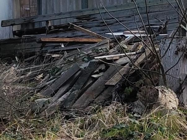 Verschenke Oster-Feuer Brennholz in Rostock