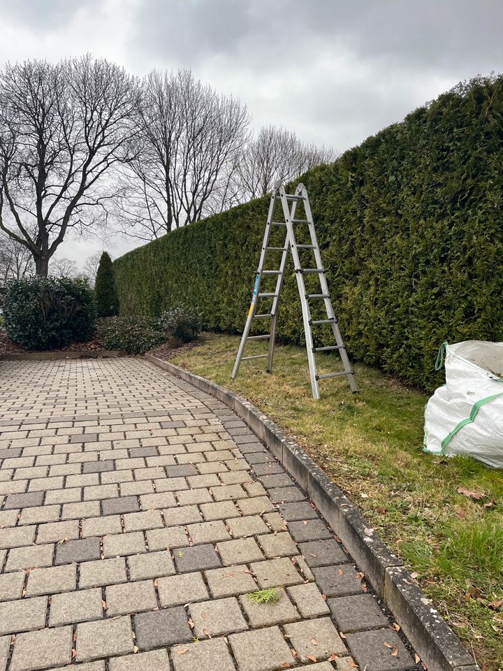 Heckenpflege ist gleich Heckenschnitt. Wir schneiden Ihre Hecke! in Hattorf am Harz