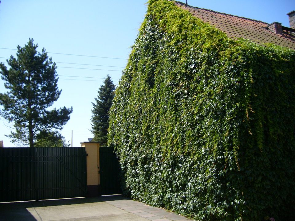 Vierseitenhof im Landschaftsschutzgebiet als Mehrgenerationenhaus in Rückersdorf
